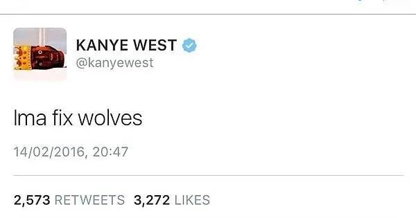 wolves wolves
